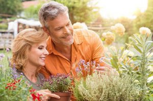 Saratoga Couples Counseling and Marriage Therapy